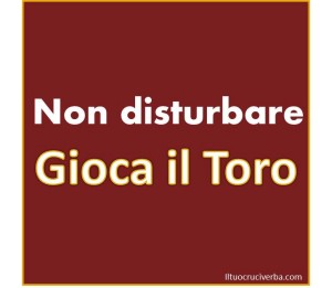 non-disturbare-gioca-torino