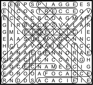 soluzione-plurale-cie-gie