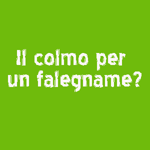 il colmo per un falegname