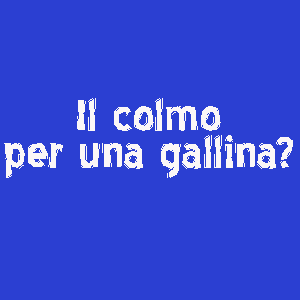 il colmo per una gallina