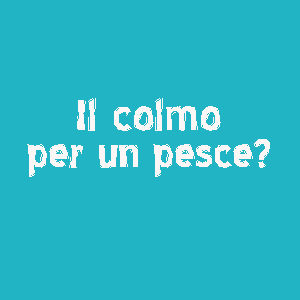 Il colmo per un Pesce e tutti i colmi con la P