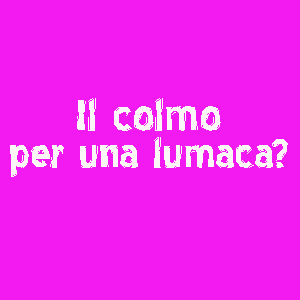 Il colmo per una Lumaca e tutti i colmi con la L