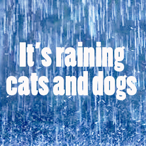 cosa significa it's raining cats and dogs