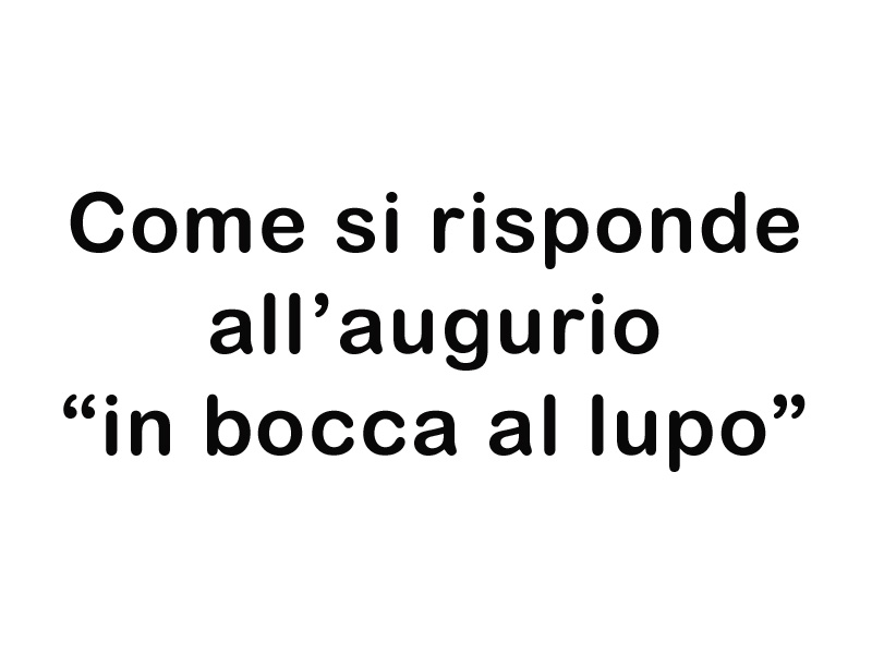 Come Rispondere Allaugurio In Bocca Al Lupo Iltuocruciverba