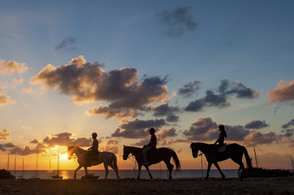 viaggi a Formentera