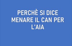 il significato di menare il can per l'aia