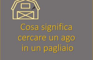 il significato di cercare un ago in un pagliaio