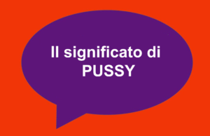 significato di pussy