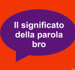 cosa vuol dire bro