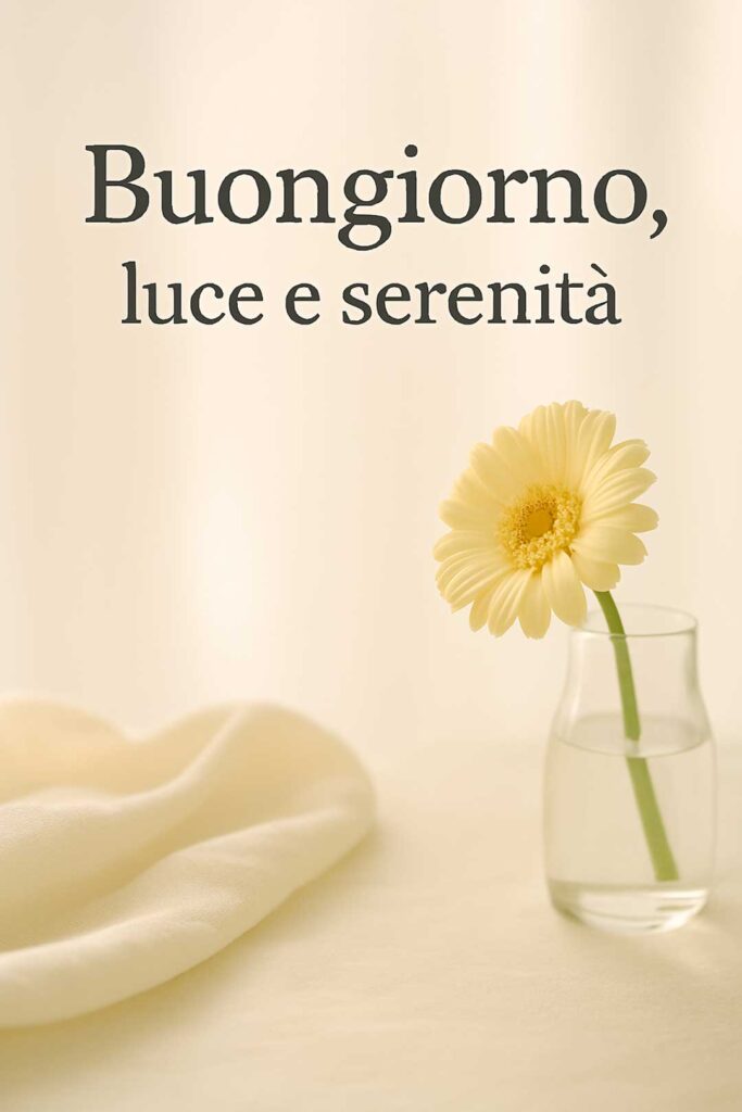 Buongiorno moderno e pulito. Un fiore in un vaso